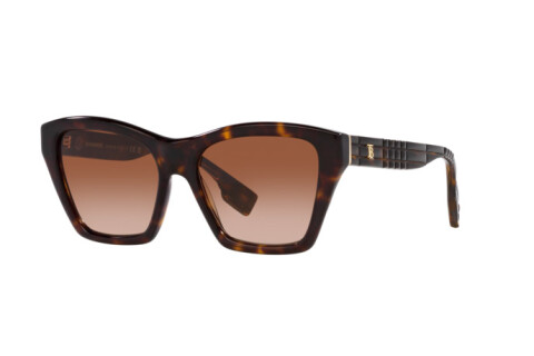 Sonnenbrille Burberry Arden BE 4391 (300213)