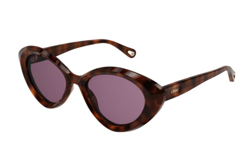 Sonnenbrille Chloé CH0050S-005