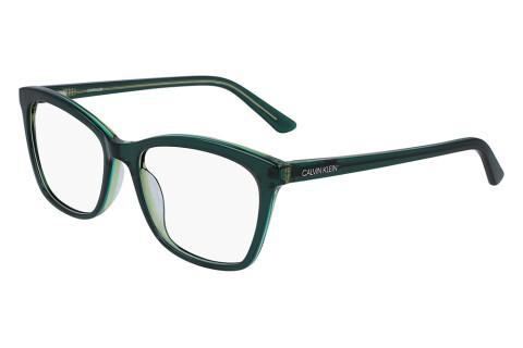 Lunettes de vue Calvin Klein CK19529 (361)