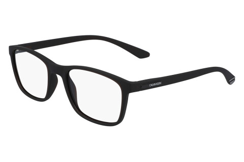 Brille Calvin Klein CK19571 (210)