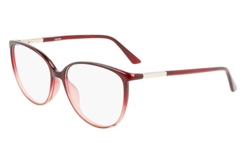 Brille Calvin Klein CK21521 (605)