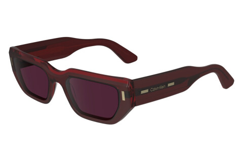 Sunglasses Calvin Klein CK24500S (605)