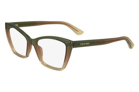 Lunettes de vue Calvin Klein CK24523 (343)