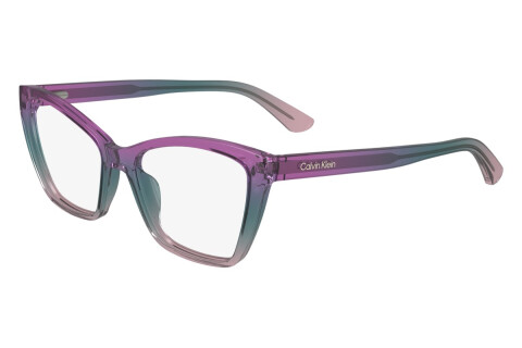 Lunettes de vue Calvin Klein CK24523 (503)