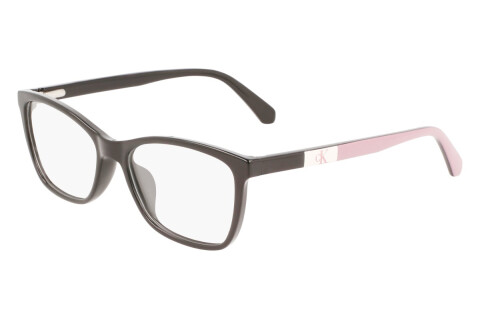 Eyeglasses Calvin Klein Jeans CKJ22304 (001)