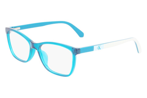 Eyeglasses Calvin Klein Jeans CKJ22304 (432)