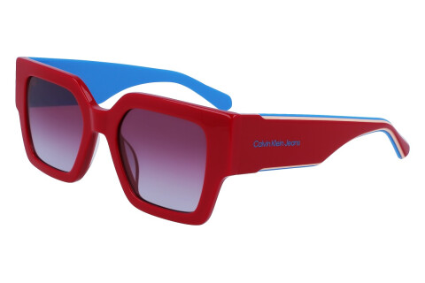 Sunglasses Calvin Klein Jeans CKJ22638S (679)