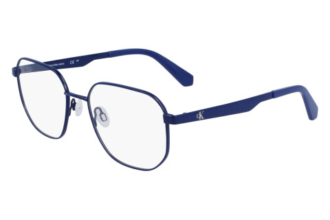 Eyeglasses Calvin Klein Jeans CKJ23222 (400)