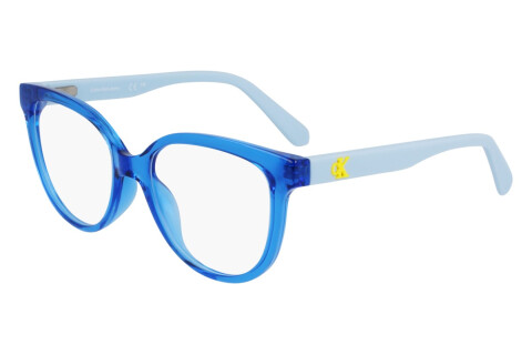 Eyeglasses Calvin Klein Jeans CKJ23303 (400)