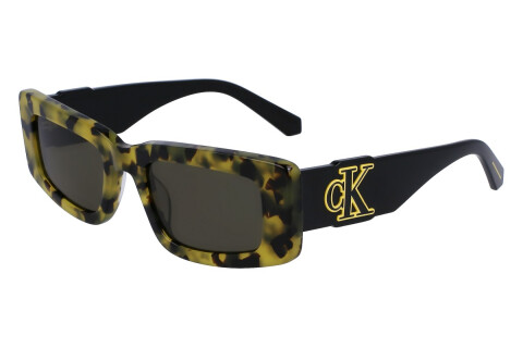 Солнцезащитные очки Calvin Klein Jeans CKJ23609S (231)