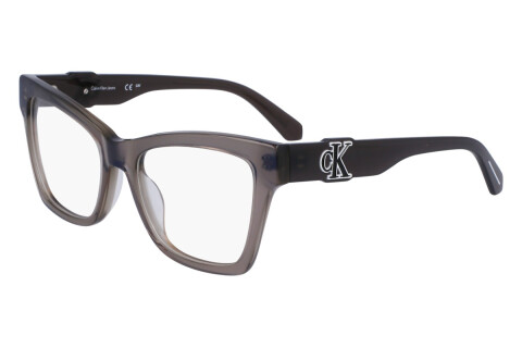 Eyeglasses Calvin Klein Jeans CKJ23646 (050)