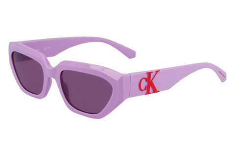 Солнцезащитные очки Calvin Klein Jeans CKJ23652S (540)
