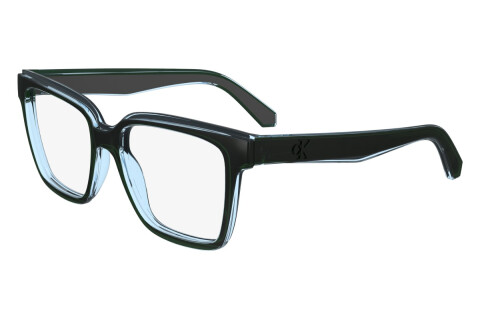 Eyeglasses Calvin Klein Jeans CKJ24619 (300)