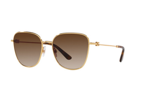 Sunglasses Dolce & Gabbana DG 2293 (02/13)