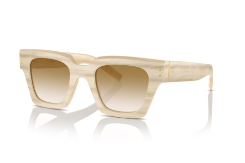 Sunglasses Dolce & Gabbana DG 4413 (343013)