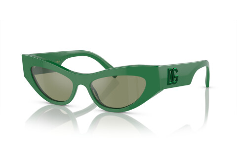 Sunglasses Dolce & Gabbana DG 4450 (331152)