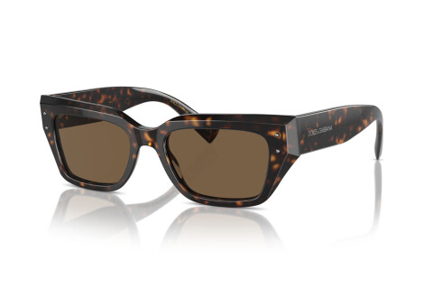 Lunettes de soleil Dolce & Gabbana DG 4462 (502/73)