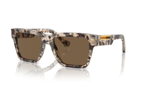 Sonnenbrille Dolce & Gabbana DG 4465 (343473)