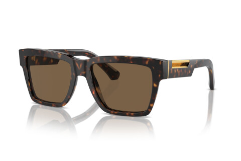 Sunglasses Dolce & Gabbana DG 4465 (502/73)