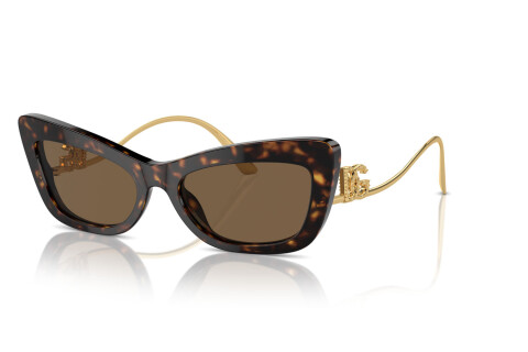 Sonnenbrille Dolce & Gabbana DG 4467B (502/73)