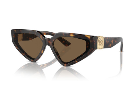 Sonnenbrille Dolce & Gabbana DG 4469 (502/73)