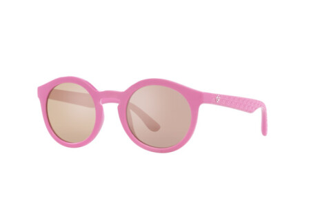 Lunettes de soleil Dolce & Gabbana DX 6002 (30981T)