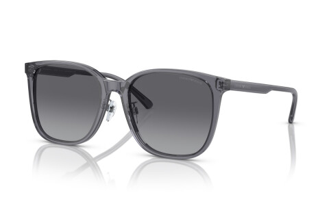 Солнцезащитные очки Emporio Armani EA 4206D (5029T3)