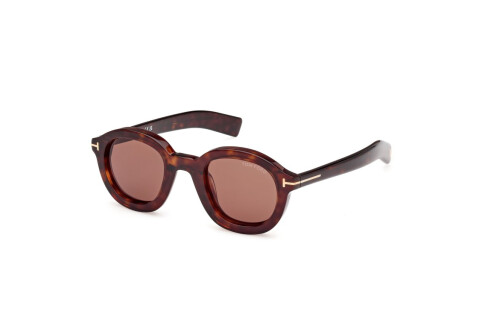 Lunettes de soleil Tom Ford Raffa FT1100 (52E)