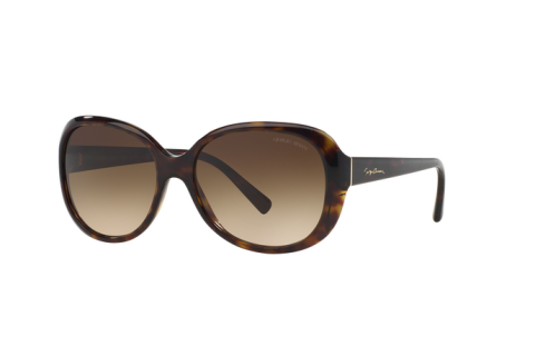 Sunglasses Giorgio Armani AR 8047 (502613)