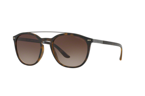 Lunettes de soleil Giorgio Armani AR 8088 (508913)