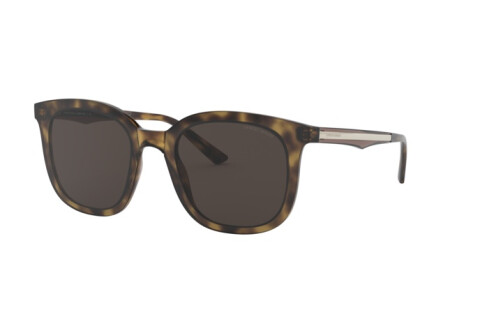 Солнцезащитные очки Giorgio Armani AR 8136 (502673)