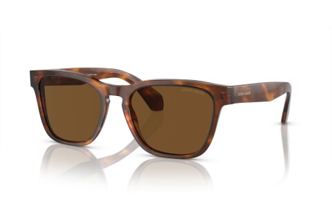 Sunglasses Giorgio Armani AR 8155 (598857)