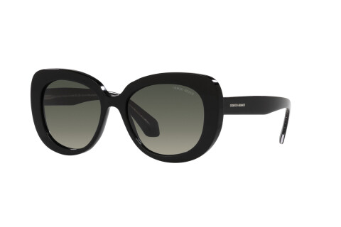 Sunglasses Giorgio Armani AR 8168 (587571)
