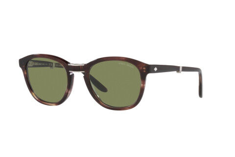 Sunglasses Giorgio Armani AR 8170 (59634E)