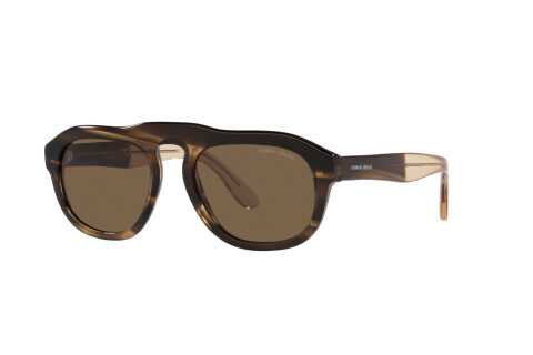 Sunglasses Giorgio Armani AR 8173 (595873)