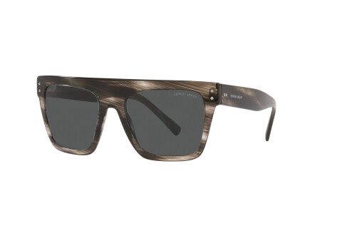 Sunglasses Giorgio Armani AR 8177 (540787)