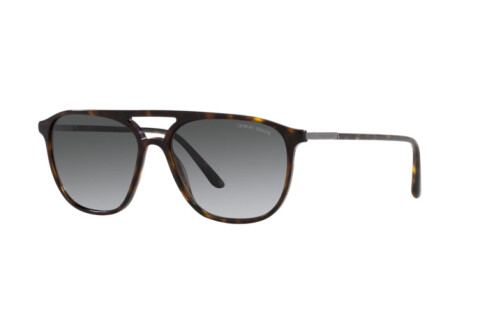 Sunglasses Giorgio Armani AR 8179 (5026T3)