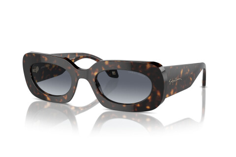 Sunglasses Giorgio Armani AR 8182 (612486)
