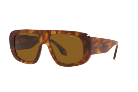 Sunglasses Giorgio Armani AR 8183 (598833)