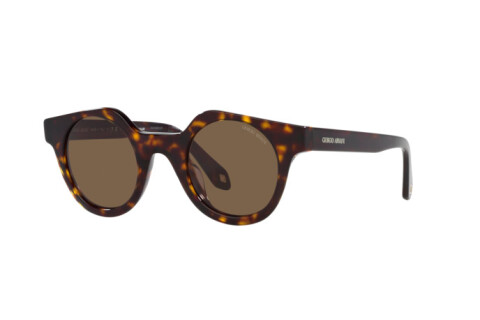 Sunglasses Giorgio Armani AR 8191U (587973)