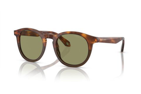 Sunglasses Giorgio Armani AR 8192 (598814)