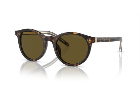 Lunettes de soleil Giorgio Armani AR 8199U (587973)