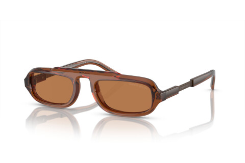 Sunglasses Giorgio Armani AR 8203 (604973)