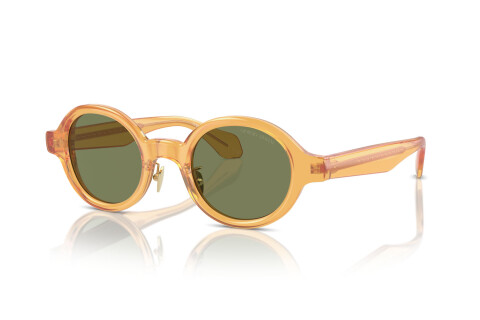Sunglasses Giorgio Armani AR 8205 (60632A)
