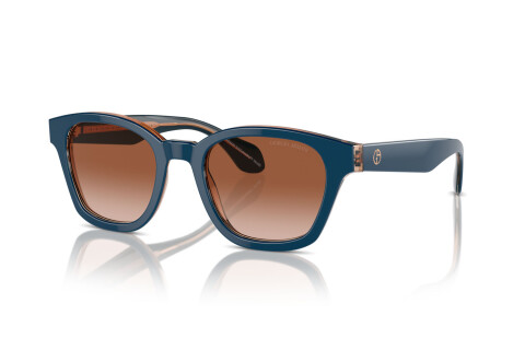 Sunglasses Giorgio Armani AR 8207 (608513)