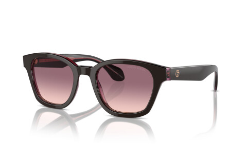 Sunglasses Giorgio Armani AR 8207 (60888D)