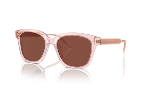 Солнцезащитные очки Giorgio Armani AR 8210U (6073C5)