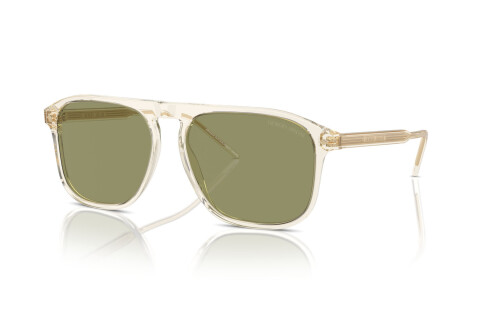Sunglasses Giorgio Armani AR 8212 (607714)