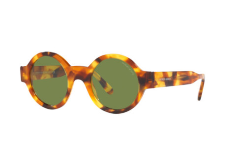 Sunglasses Giorgio Armani AR 903M (57604E)