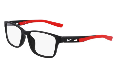 Eyeglasses Nike NIKE 5038 (006)